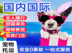 厦门高崎机场空运国际宠物托运 【国